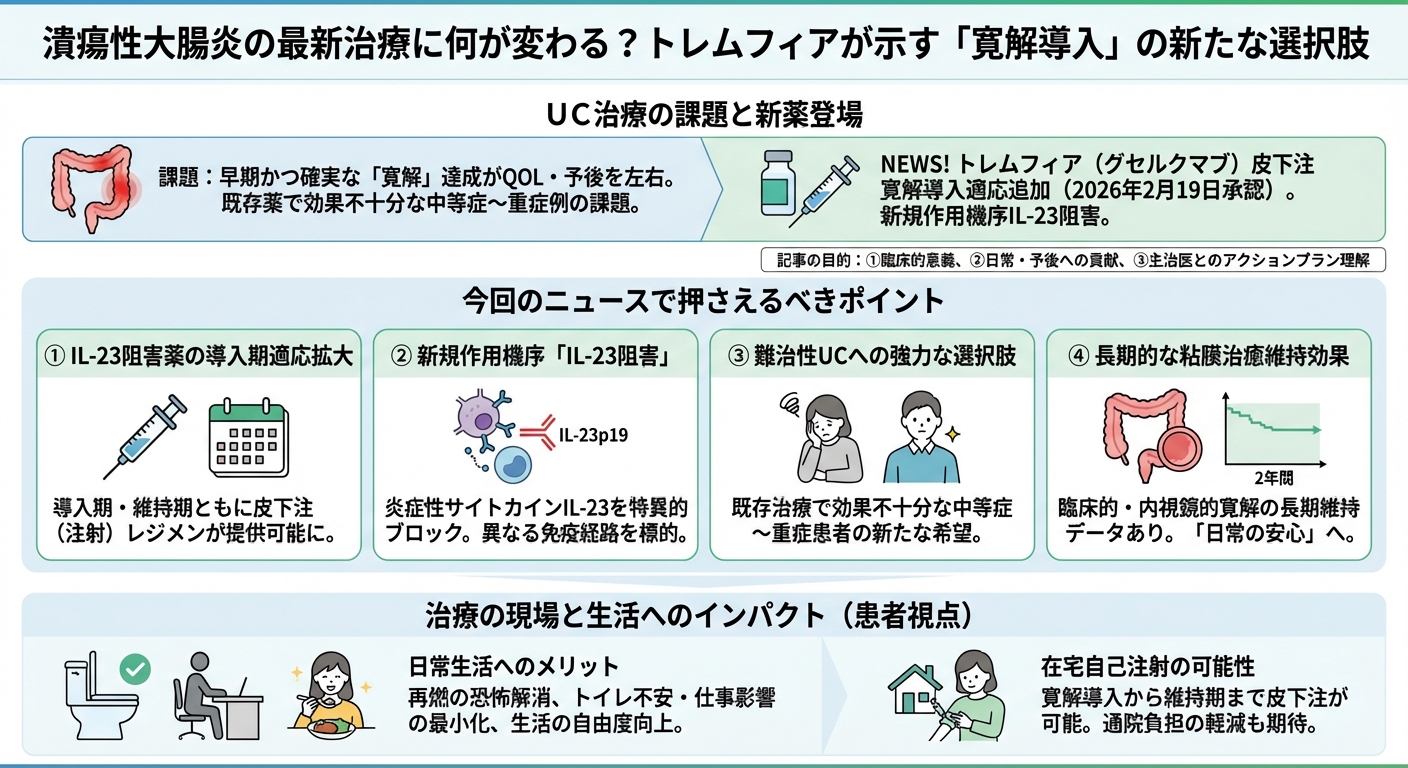 インフォグラフィック画像